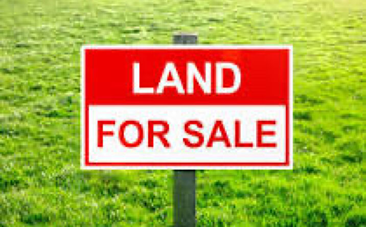 Pictures of Land property located at State Hwy 11, Monroe, GA 30655 for sales - image #1