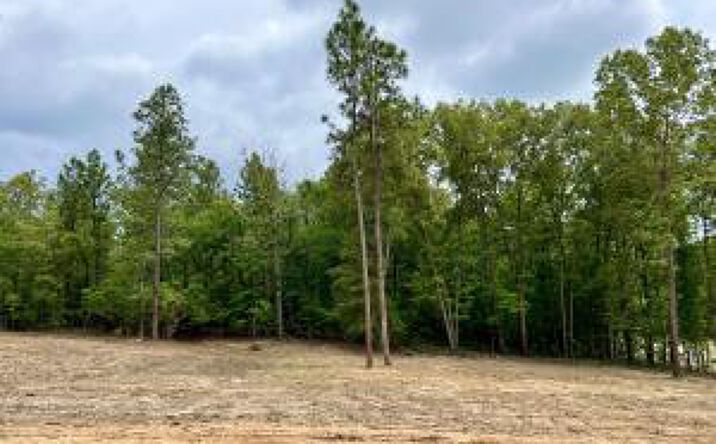 Pictures of Land property located at 0 Shell Stone Drive, Aiken, SC 29803 for sales - image #1