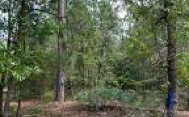 Pictures of Land property located at 0 Dixie Street, Batesburg-Leesville, SC 29006 for sales - image #1