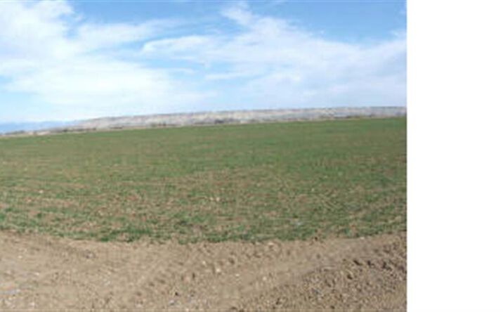 image of property at ROAD 11 Powell WY 82435