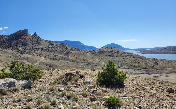 Pictures of Land property located at TBD Logan Mountain Dr, Cody, WY 82414 for sales - image #1
