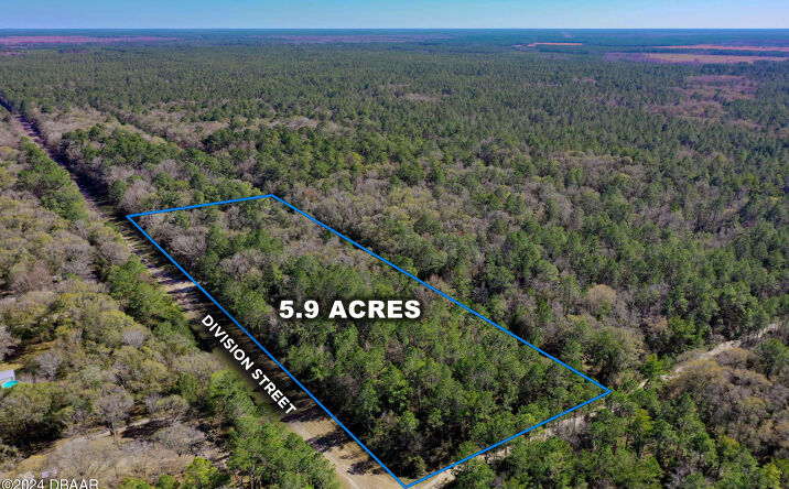 Pictures of Land, Multifamily, Special Purpose property located at 00 DIVISION Street, Hastings, FL 32145 for sales - image #1