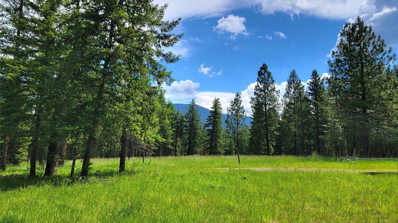 NHN McKenna Lane, Trout Creek, MT 59874