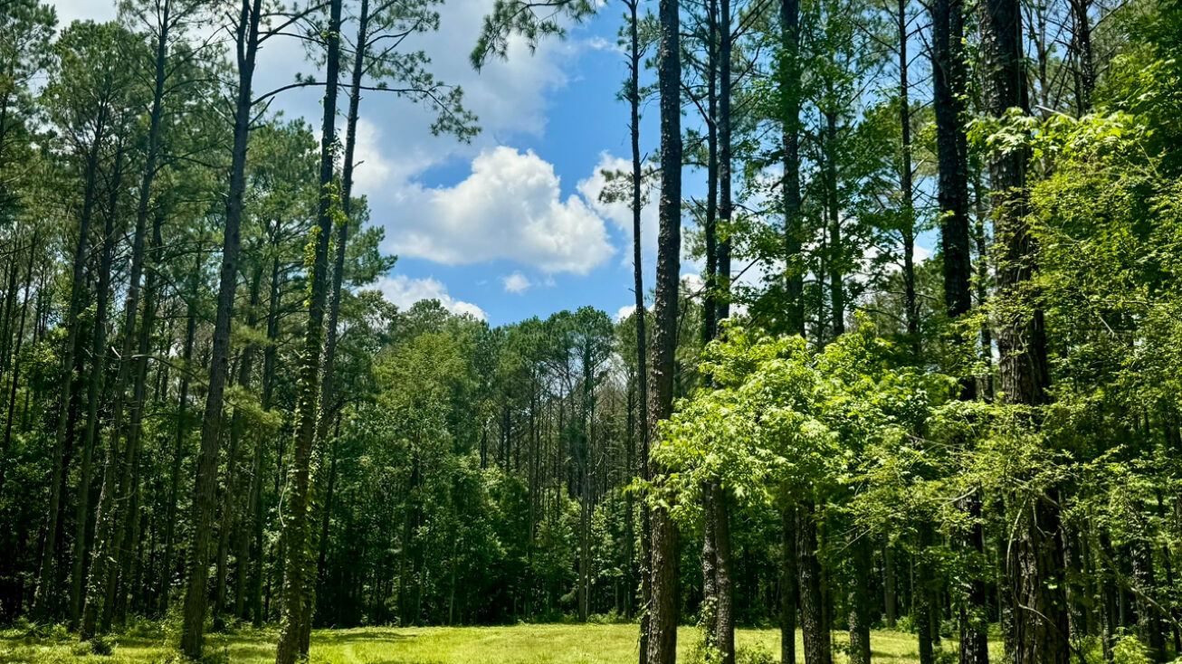 00 LEWIS LANE, MEADVILLE, MS 39653