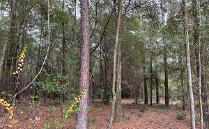 Pictures of Land property located at Lot D2 Rainbow Drive, Salley, SC 29137 for sales - image #1
