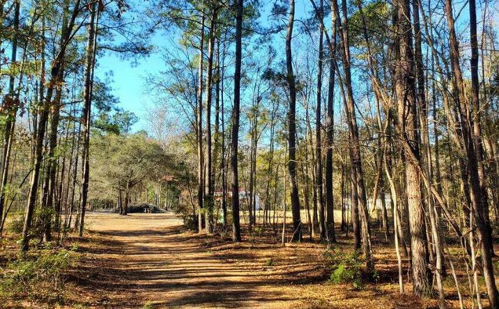 Pictures of Land property located at 7085 Inman Road, Meggett, SC 29449 for sales - image #1