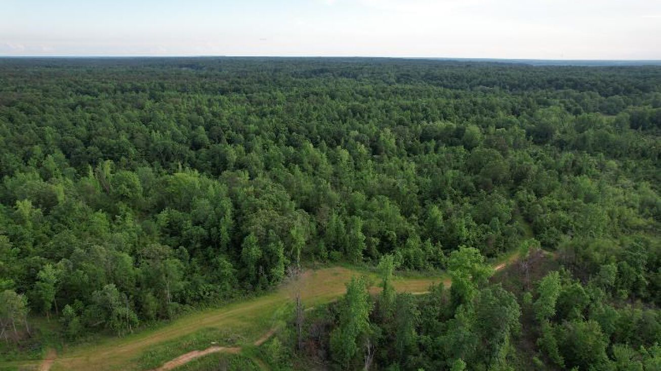 80 Acres in Tallahatchie, Cascilla, MS 38920