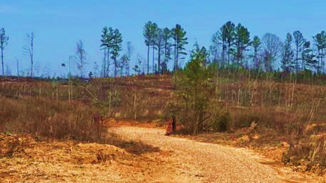 11 Parcels in ster, Mantee, MS 39751