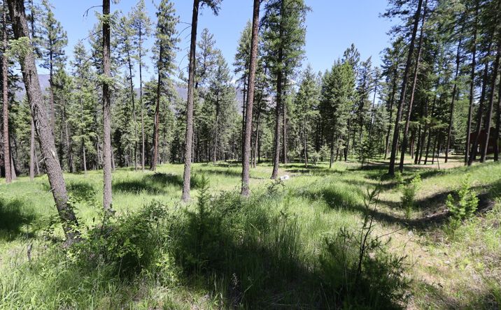 NHN Cherry Creek Road, Thompson Falls, MT 59873 | Crexi.com