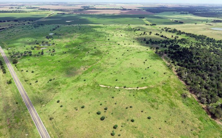 Pictures of Land property located at 11373 FM 112, Thrall, TX 76578 for sales - image #1