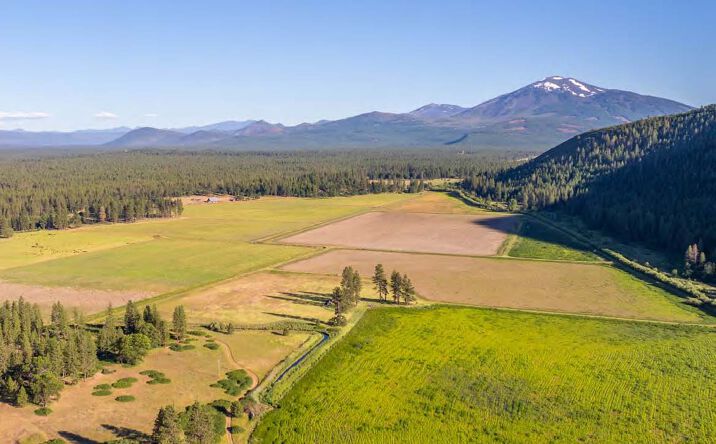 Pictures of Land property located at  for sales - image #1
