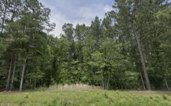 Pictures of Land property located at Tbd Daniel, Johnston, SC 29832 for sales - image #1