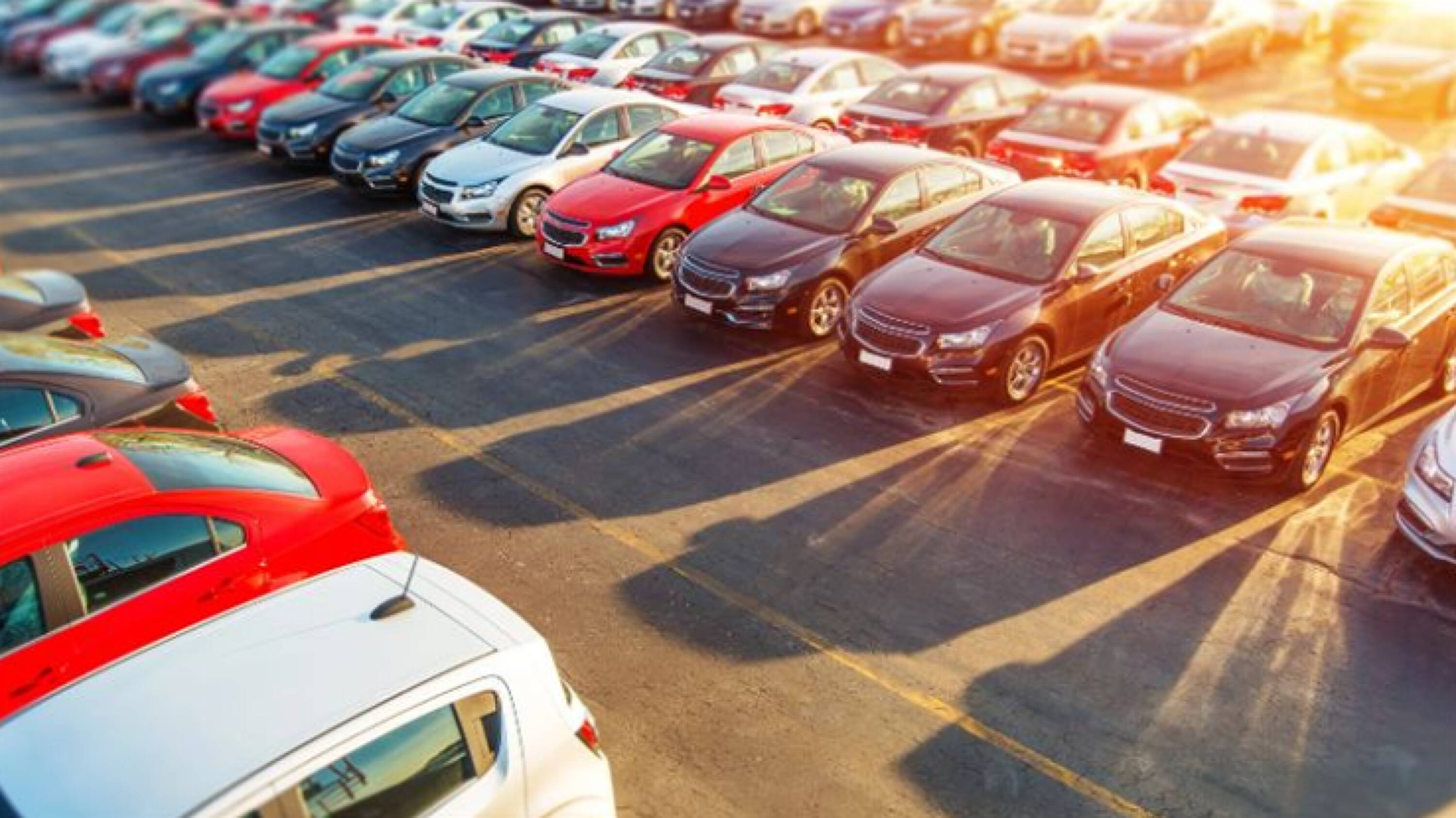 5090 S STATE ROAD 7 Davie FL 33314 5742 - Ba9b8a6d697e4423bb102393bf9569a0 3000x2000 Resize 