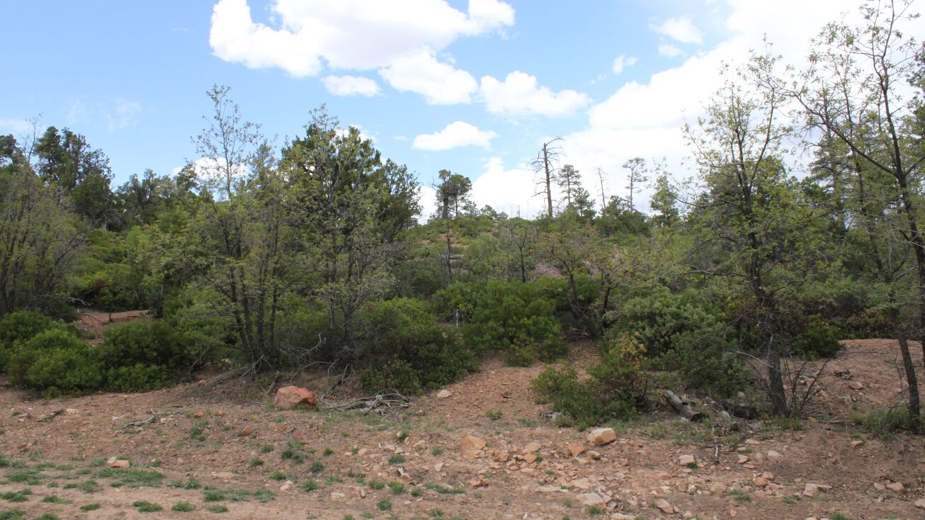 6260 Indian Hill Ln, Show Low, AZ 85901