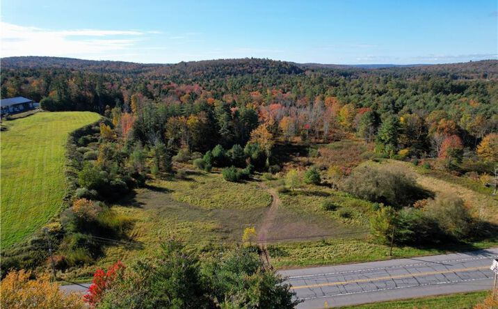 Pictures of Land property located at Lot TBD NYS Route 17B, Monticello, NY 12701 for sales - image #1