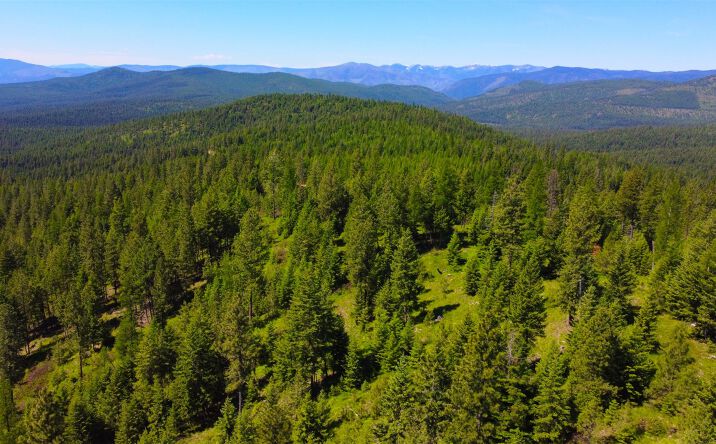 Pictures of Land property located at Nhn Corona Rd Ranch, Plains, MT 59859 for sales - image #1