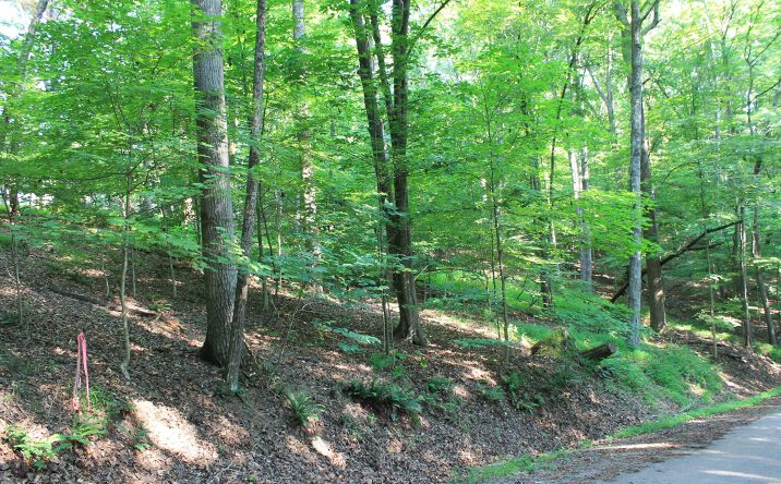 Pictures of Land property located at 408 Mohican Lane, Sugar Grove, OH 43155 for sales - image #1