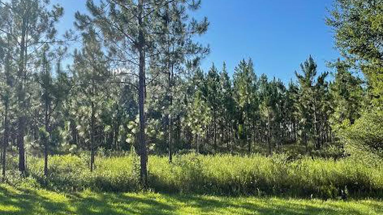 00 Lot 4 BBL Estates, Poplarville, MS 39470