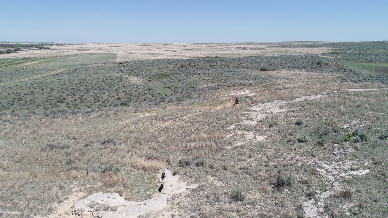 Native and Improved Grassland, Higgins, TX 79046