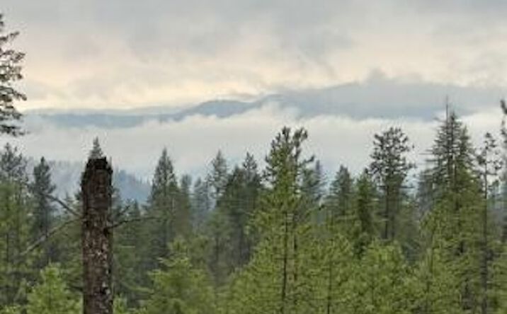 Pictures of Land property located at 4684 Grouse Creek Rd, Chewelah, WA 99109 for sales - image #1