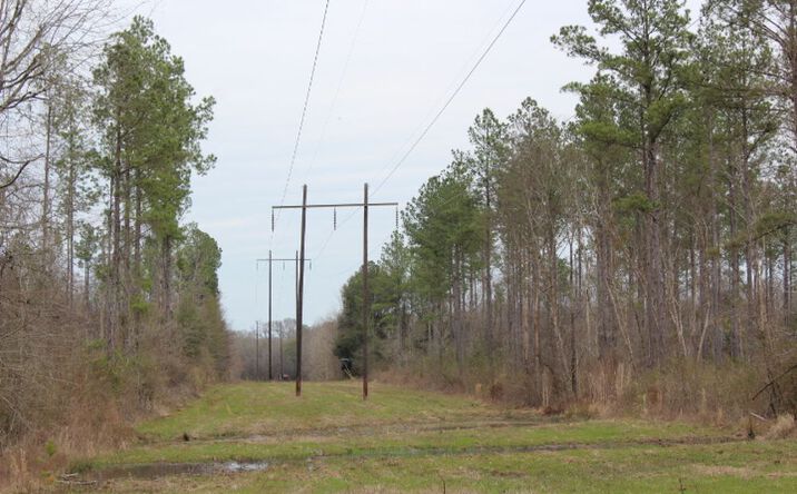 Pictures of Land property located at AL Hwy 43 North, Linden, AL 36748 for sales - image #1