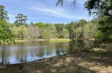 27415412