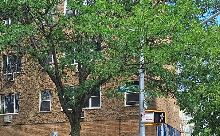 Pictures of Multifamily property located at 189 Woodpoint Road, Brooklyn, NY 11211 for sales - image #1