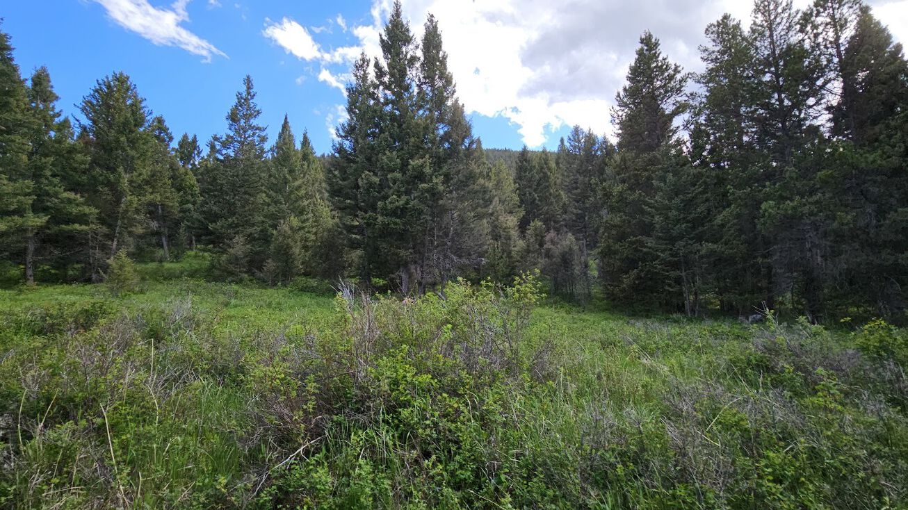 11 Hall Creek Tracts, Helmville, MT 59843