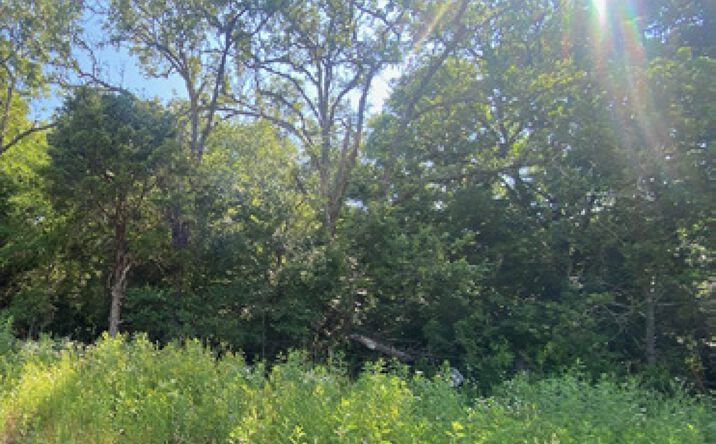 Pictures of Land property located at N Futrall Dr, Fayetteville, AR 72703 for sales - image #1