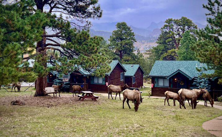 Pictures of Hospitality property located at 841 Riverside Dr, Estes Park, CO 80517 for sales - image #1