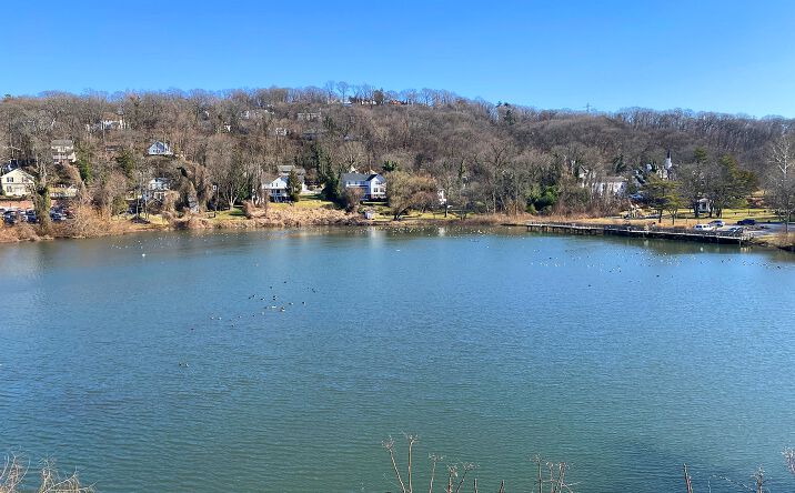 image of property at 20 TOWER PL Roslyn NY 11576-2151