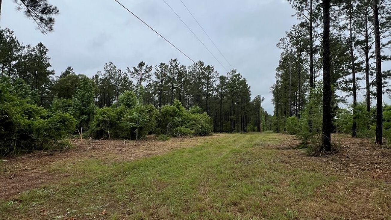 0 SavannahMillard Rd, Poplarville, MS 39470