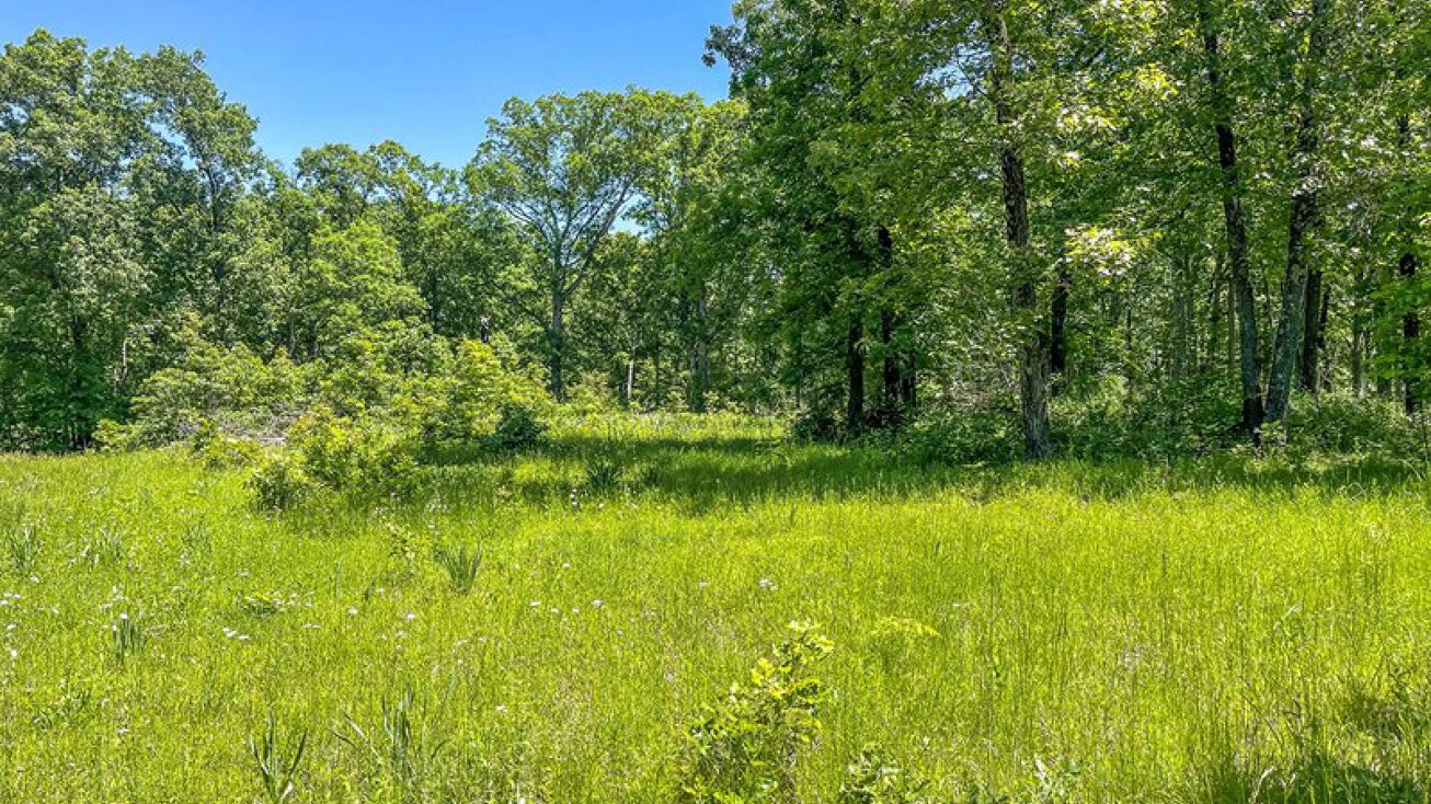 Co Rd 117, Harrisburg, MO 65256