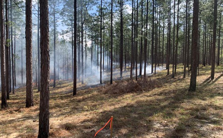 Pictures of Land, Special Purpose property located at N/A Crown Zellerbach Road, Lumberton, MS 39455 for sales - image #1