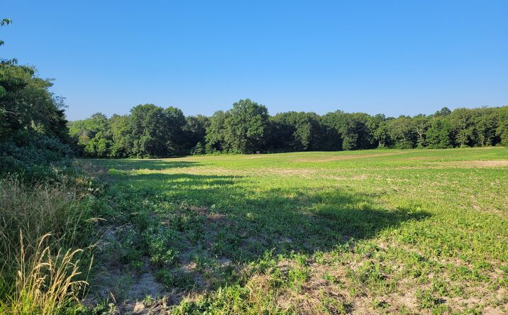 State Highway DD, Bellflower, MO 63333 | Crexi.com