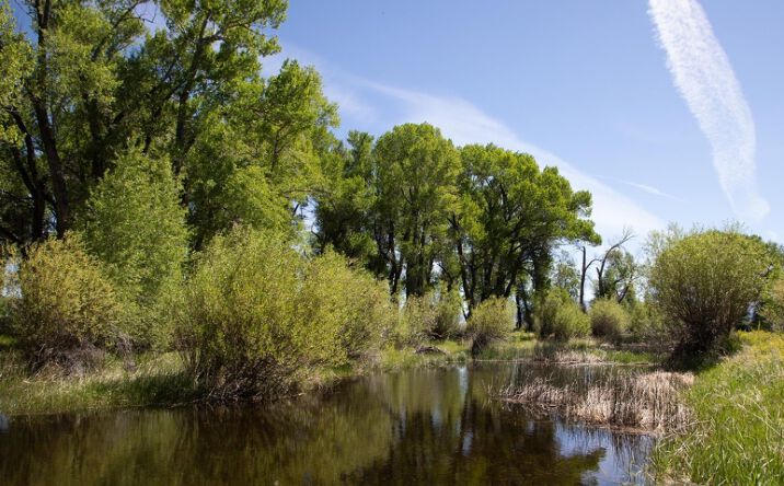 Pictures of Land property located at 900 North First Street, Saratoga, WY 82331 for sales - image #1