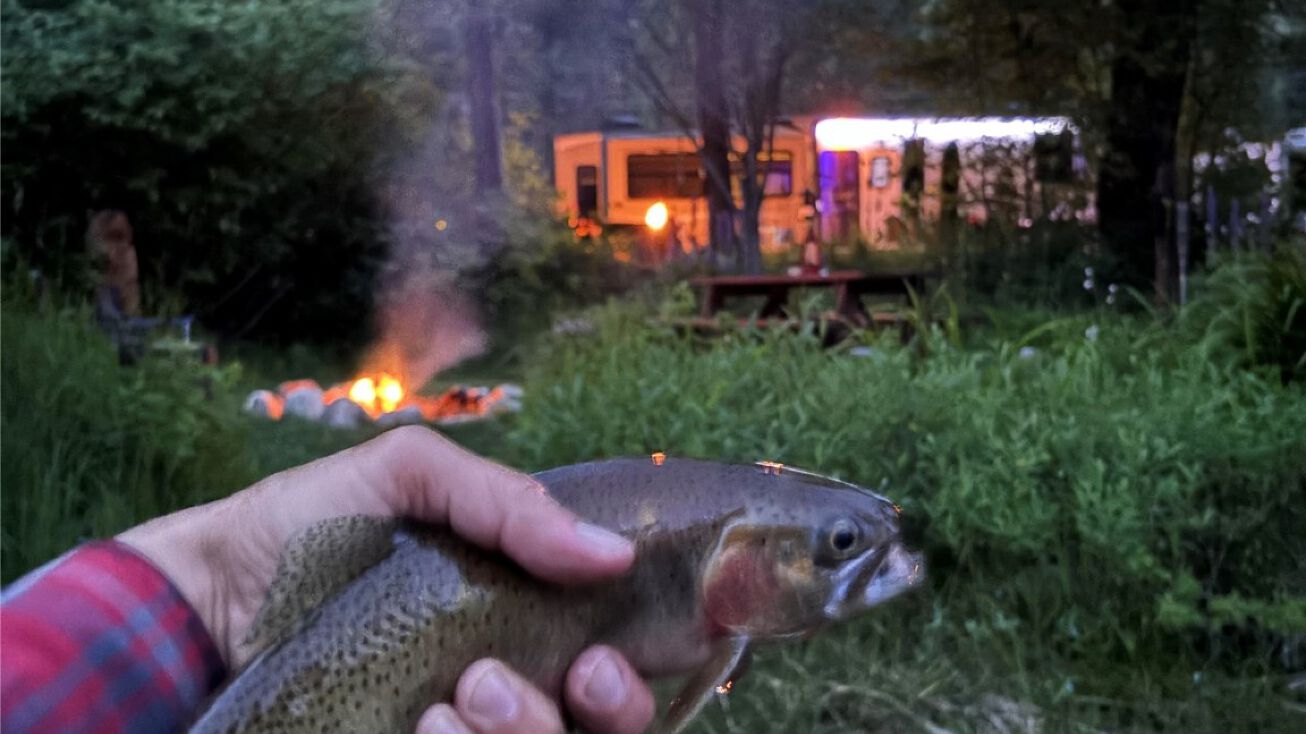 15191 Highway 12 W, Lolo, MT 59847