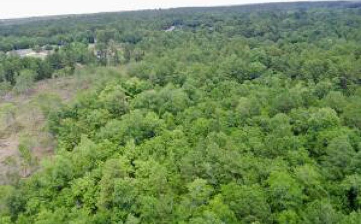 Pictures of Land property located at 0 Ann Drive, New Ellenton, SC 29809 for sales - image #1