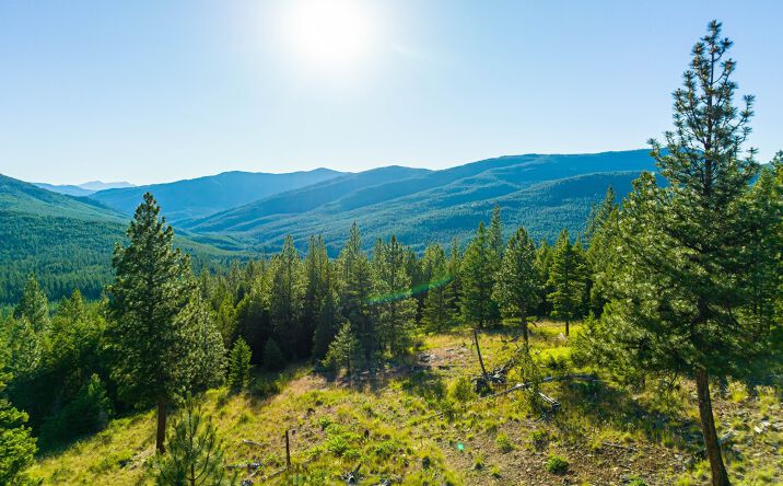 Pictures of Land property located at 467 Wolf Creek Road, Libby, MT 59923 for sales - image #1