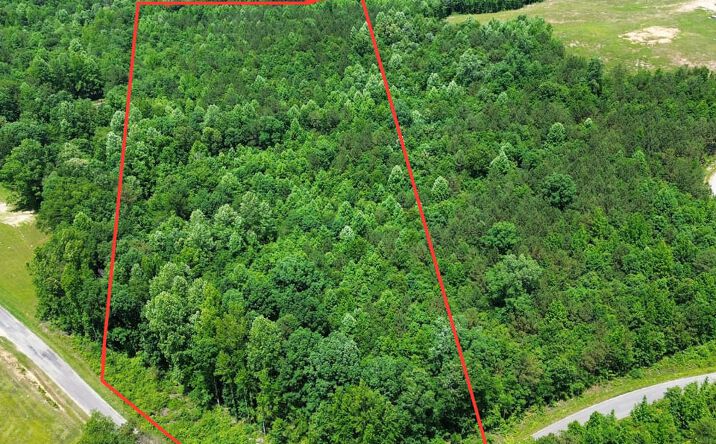Pictures of Land property located at 000 Flat Creek Road, Bear Creek, AL 35543 for sales - image #1
