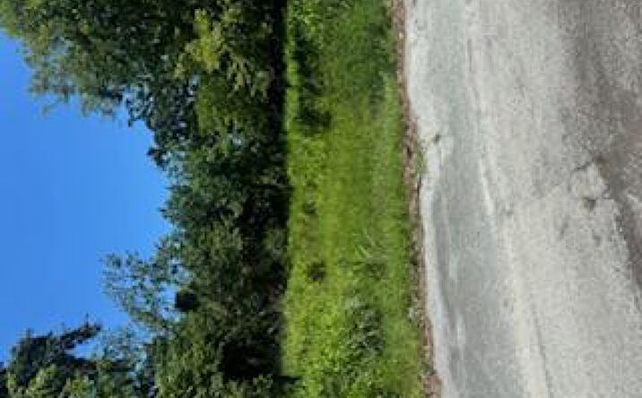 Pictures of Land property located at 343 Division Street, Daytona Beach, FL 32114 for sales - image #1