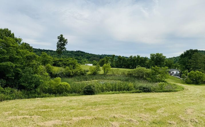 Pictures of Land property located at 37406 New Lima Road, Rutland, OH 45775 for sales - image #1