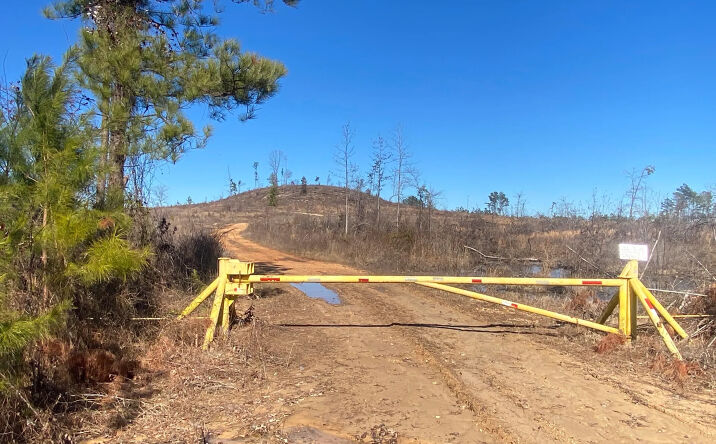 Pictures of Land property located at 00 Sweet Home Loop, Nashville, AR 71852 for sales - image #1