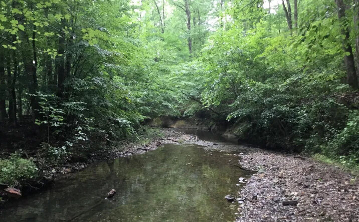 Pictures of Land property located at Highway 70, Hot Springs, AR 71901 for sales - image #1
