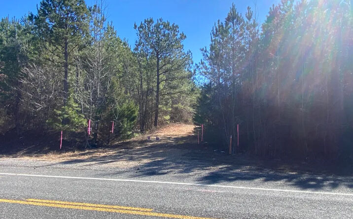 Pictures of Land property located at HWY 84, Amity, AR 71921 for sales - image #1