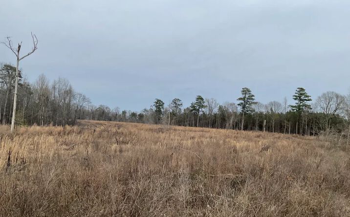 Pictures of Land property located at Florence, Florence, AR 71655 for sales - image #1