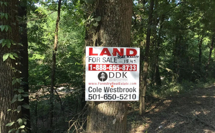 Pictures of Land property located at Bone Hollow Road, Houston, AR 72070 for sales - image #1