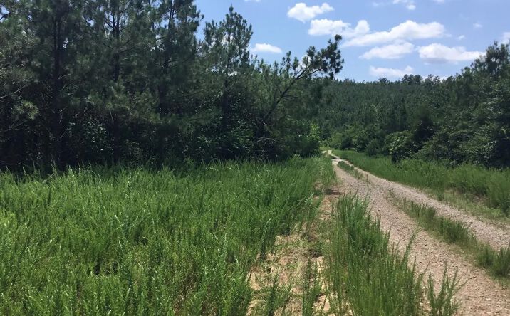 Pictures of Land property located at North Hinkle, Booneville, AR 72927 for sales - image #1