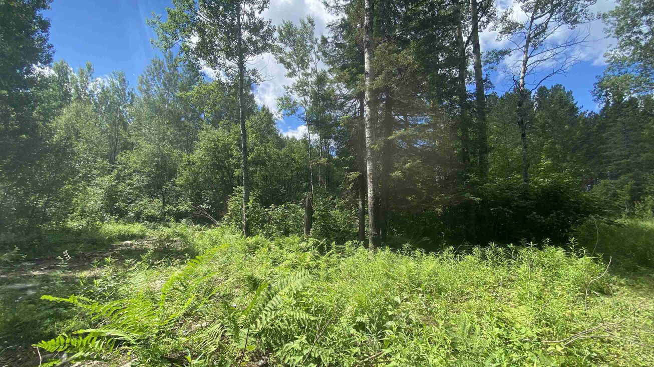 6468 Murphy Lake Rd, Brimson, MN 55602