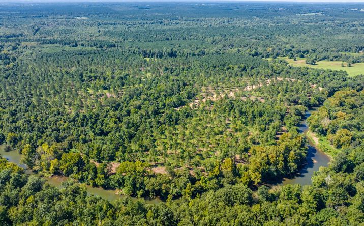 Pictures of Land property located at Gilmer Bridge, Delight, AR 71958 for sales - image #1